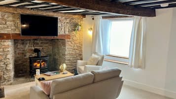 Smart TV, fireplace, books