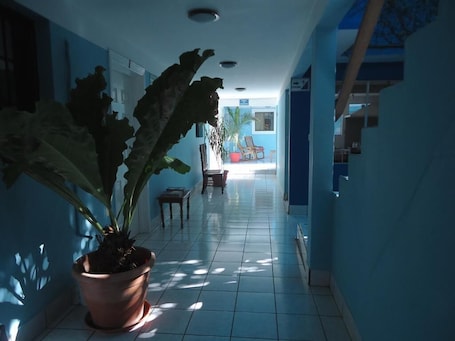 21-吋電視,提供有線頻道