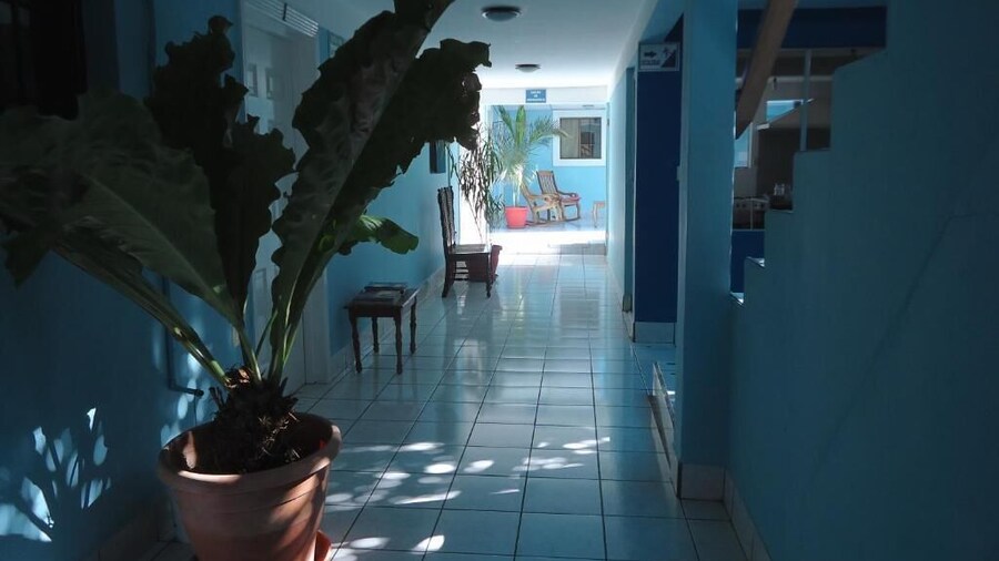 Centro YAYABO
