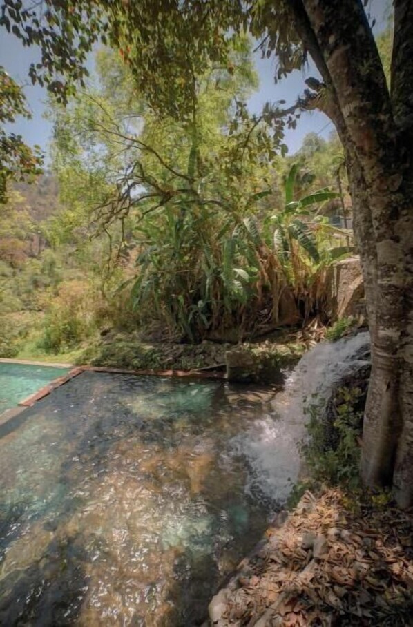 Jardines del alojamiento