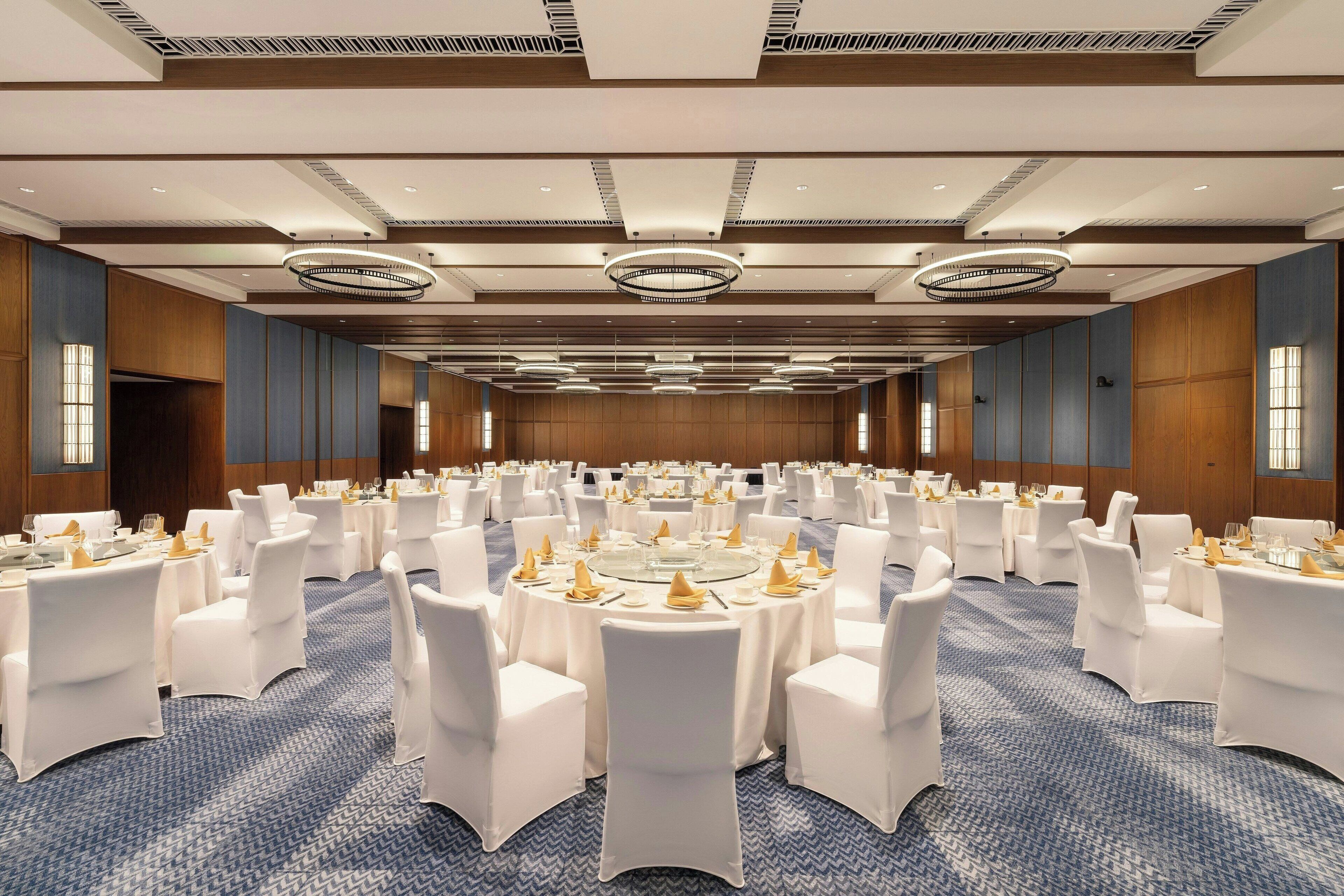 A large conference room with round tables, white chairs, and a blue carpet.