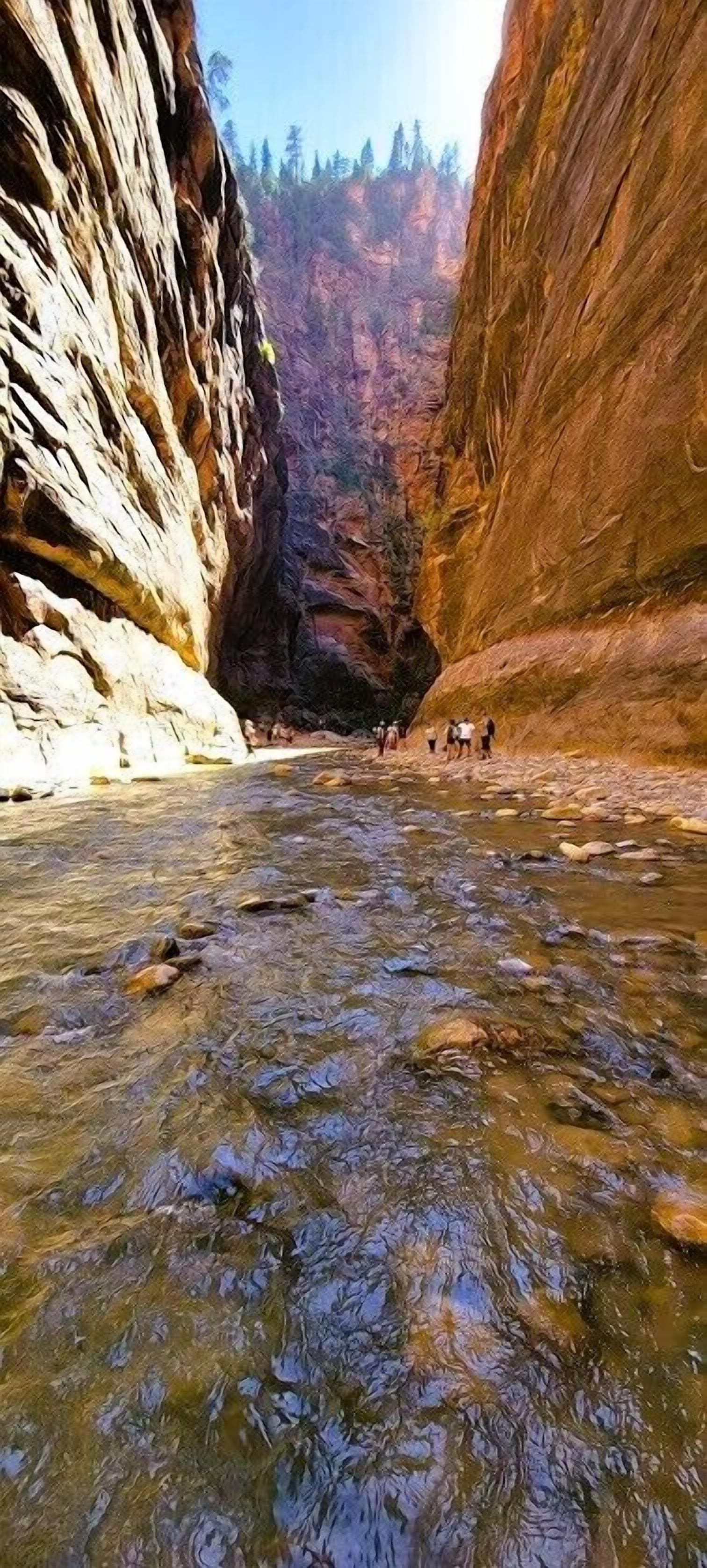 A canyon with a river flowing through it.