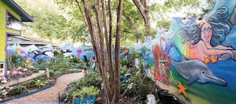 Zilker's Peaceful Haven-Fun, Funky, and Colorful