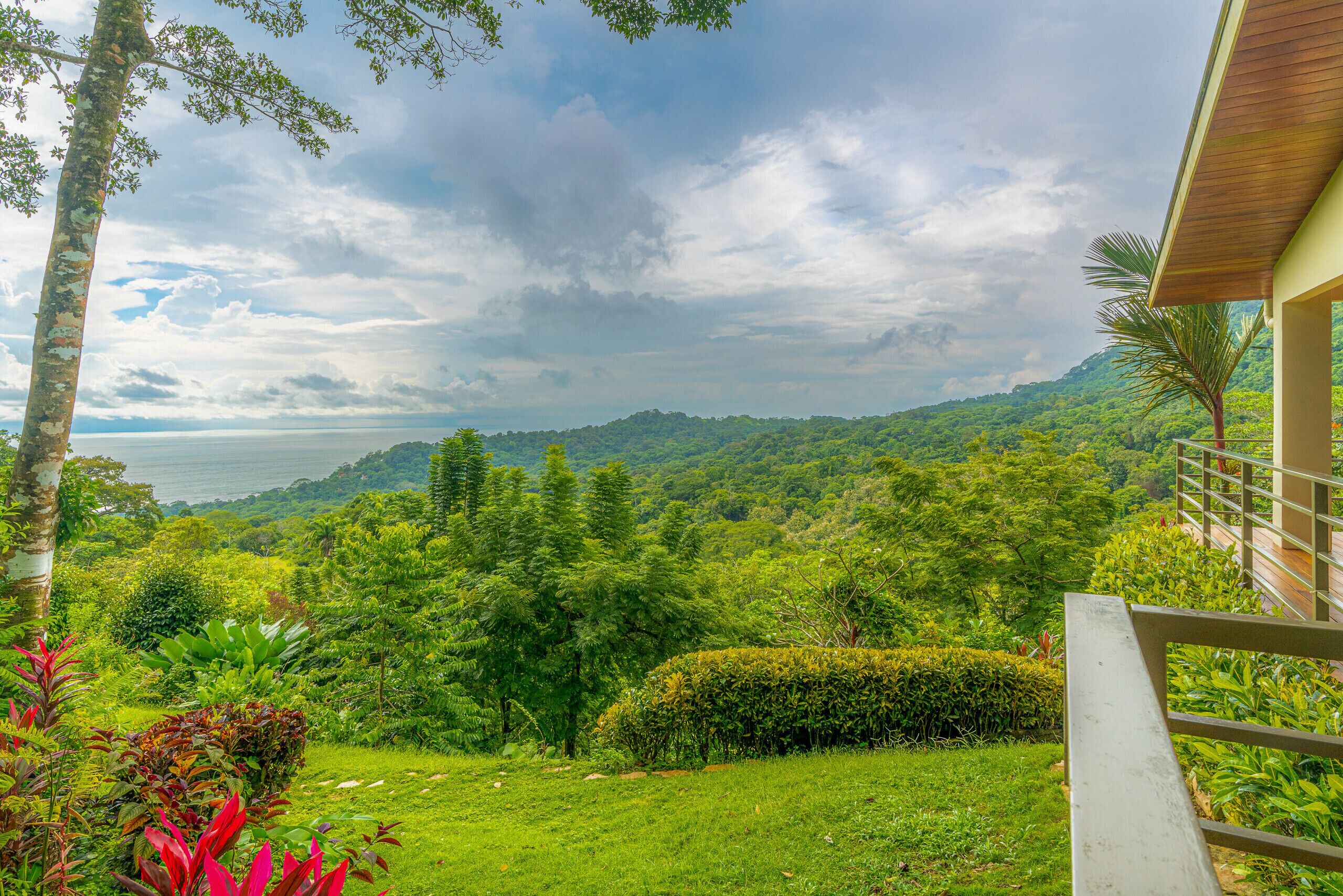 Un paysage verdoyant et luxuriant, avec vue sur la mer et les collines.