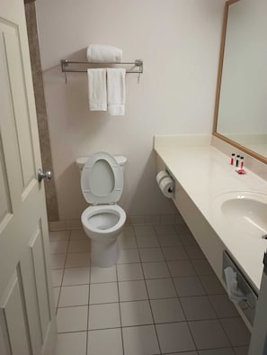 A bathroom with a toilet, a towel rack with two towels, a toilet paper holder, and a sink with a mirror. - Miriam Hotel (Bismarck)