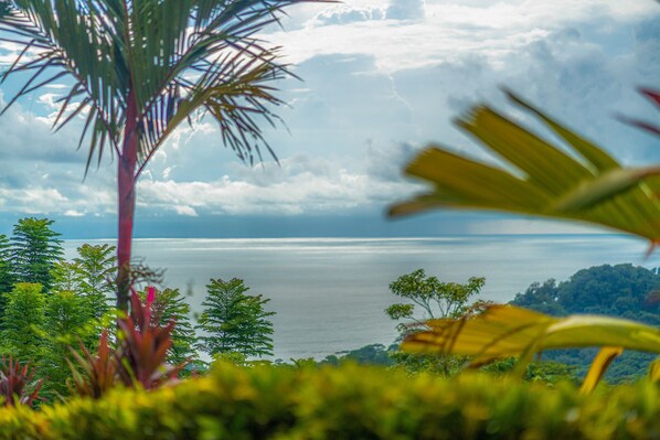 A tropical landscape with a view of the sea, surrounded by lush greenery and palm trees.