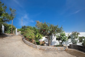 Property grounds - Casa Bella Vista (Chania)