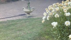 Ein Backsteinhaus mit weißem Eingang und einem Garten mit weißen Blumen und einem Blumentopf.