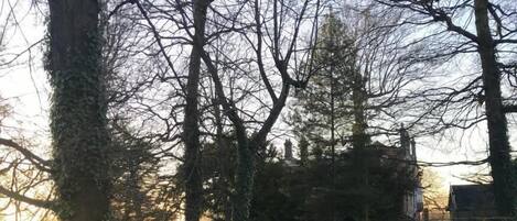 Un camino rural que conduce a una entrada con puerta y un cartel que indica 'PRIVATE'.
