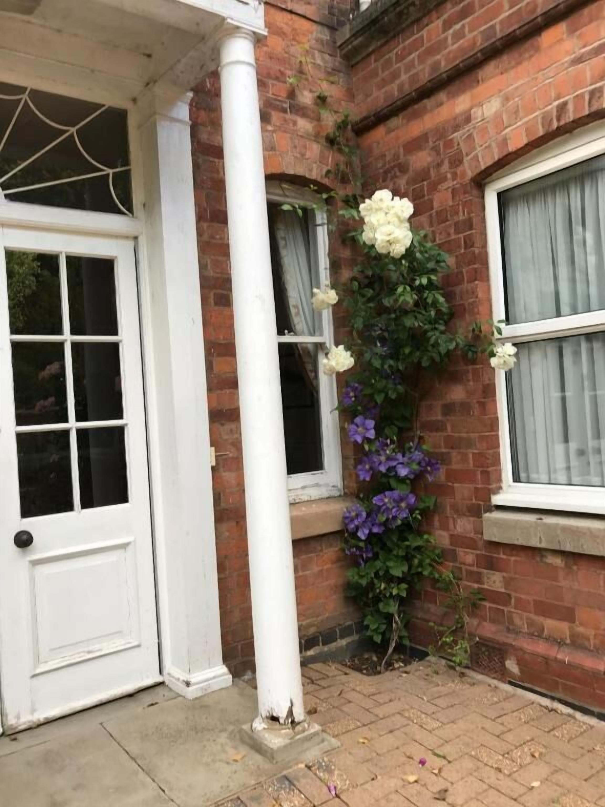 A brick building with a white door and windows, a white column, and a flower box with white and purple flowers.
