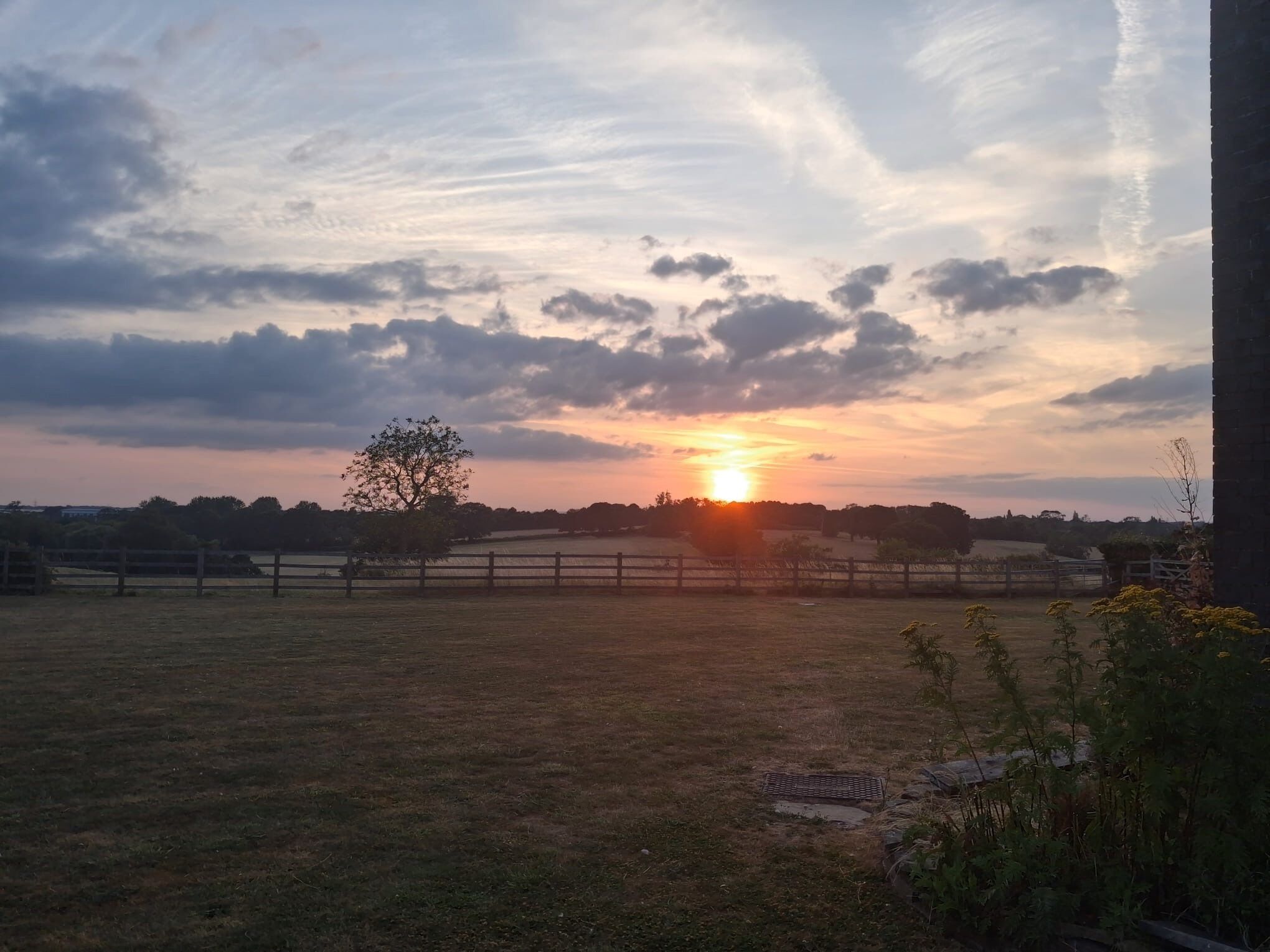 Un coucher de soleil sur un paysage rural, avec une clôture et des arbres.