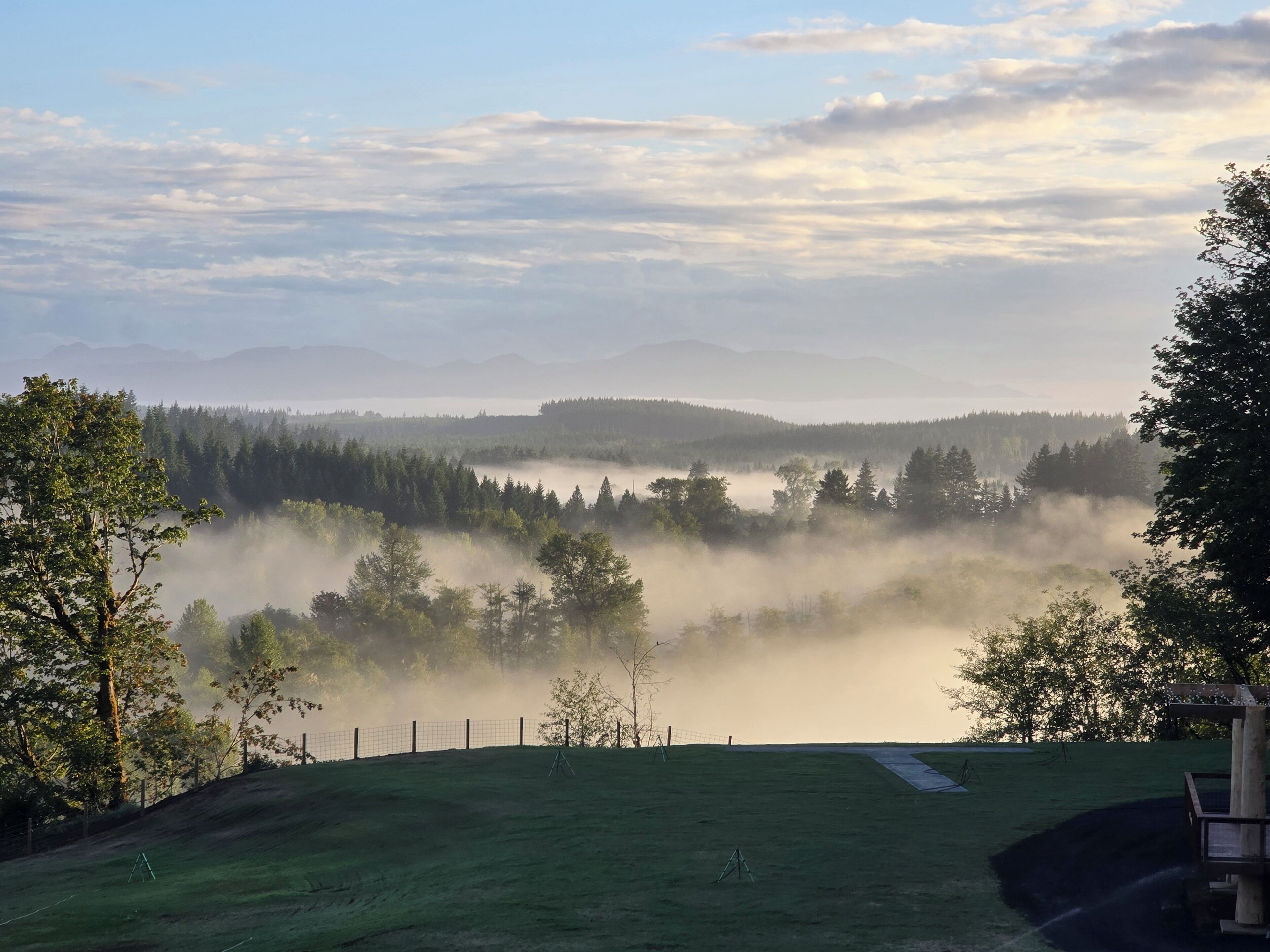 View from our deck. The Olympic Mountains and Satsop River is below