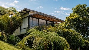 Une maison moderne à la façade en verre, entourée d’une végétation luxuriante et sous un ciel d’un bleu limpide.