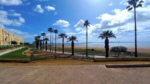 Uma passarela pavimentada com palmeiras, uma praia e um edifício ao fundo.