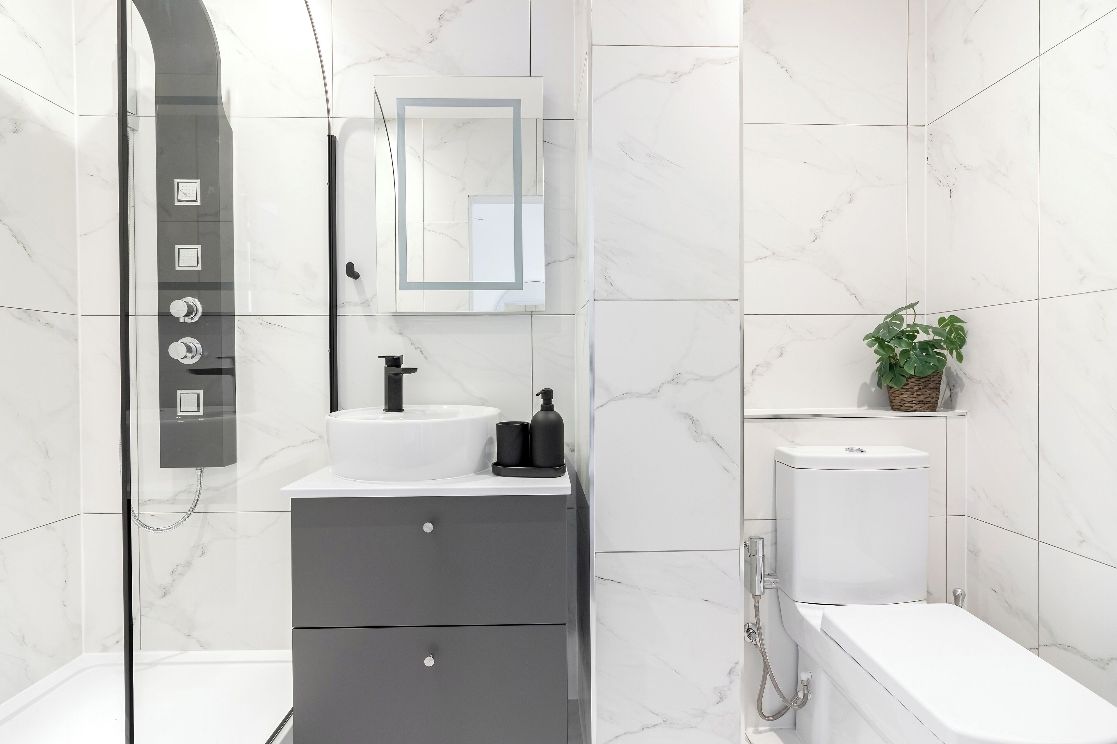 A modern bathroom with a glass-enclosed shower, a white sink, a toilet, and a small plant on a shelf.