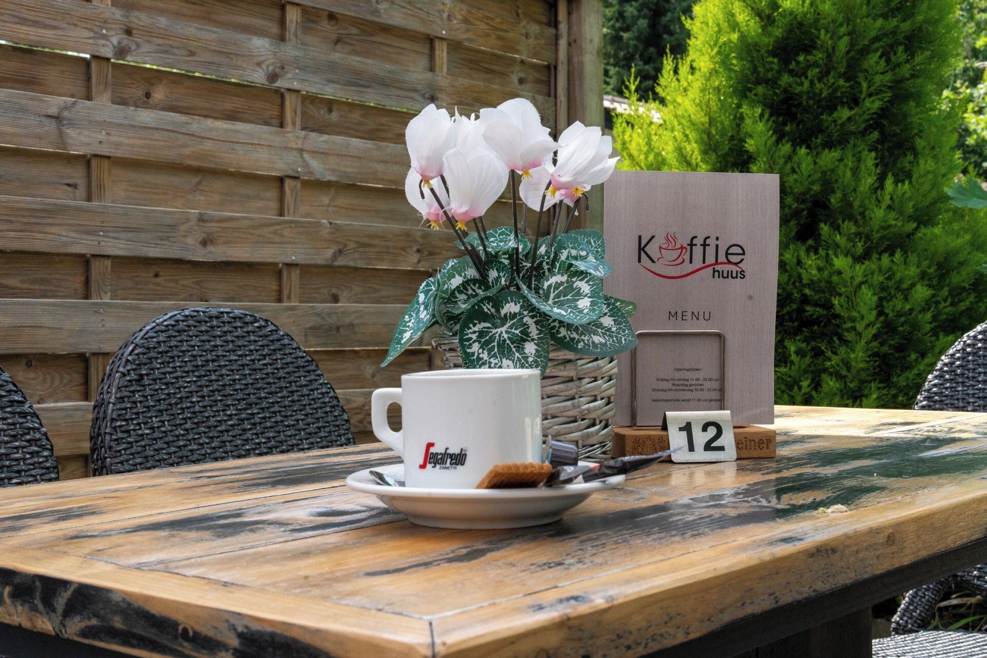 A wooden table with a white ceramic cup labeled "Segafredo Zanetti," a menu board, and a potted plant with white flowers.