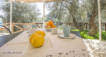 House of the gentle valley