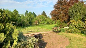 Een tuin met een pad, verschillende planten en bomen.