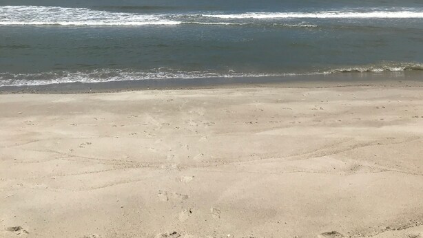 Una playa con cielo despejado y olas del océano.