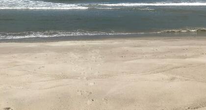 Exotic and Cozy Beach Cottage - 3 minute walk to the ocean!
