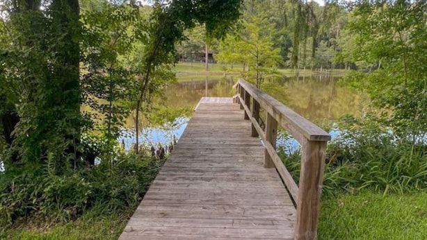 Een houten looppad dat naar een waterpartij leidt, omgeven door groen.