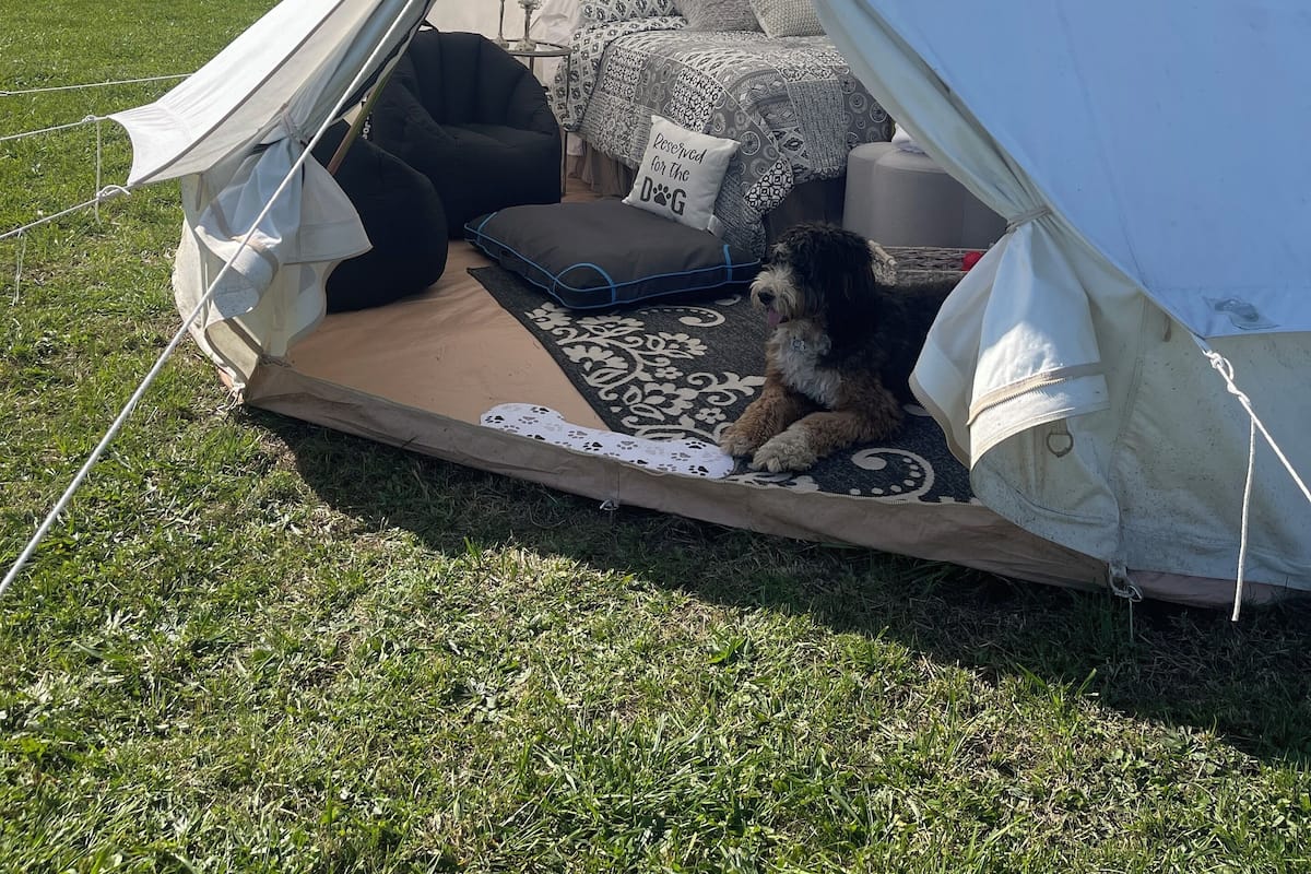 Junior Tent, 2 Twin Beds | Hypo-allergenic bedding, down comforters, individually decorated