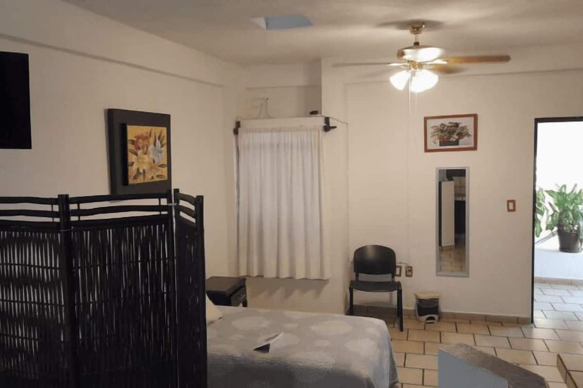 A bedroom with a bed, a chair, a ceiling fan, a TV, and a potted plant.