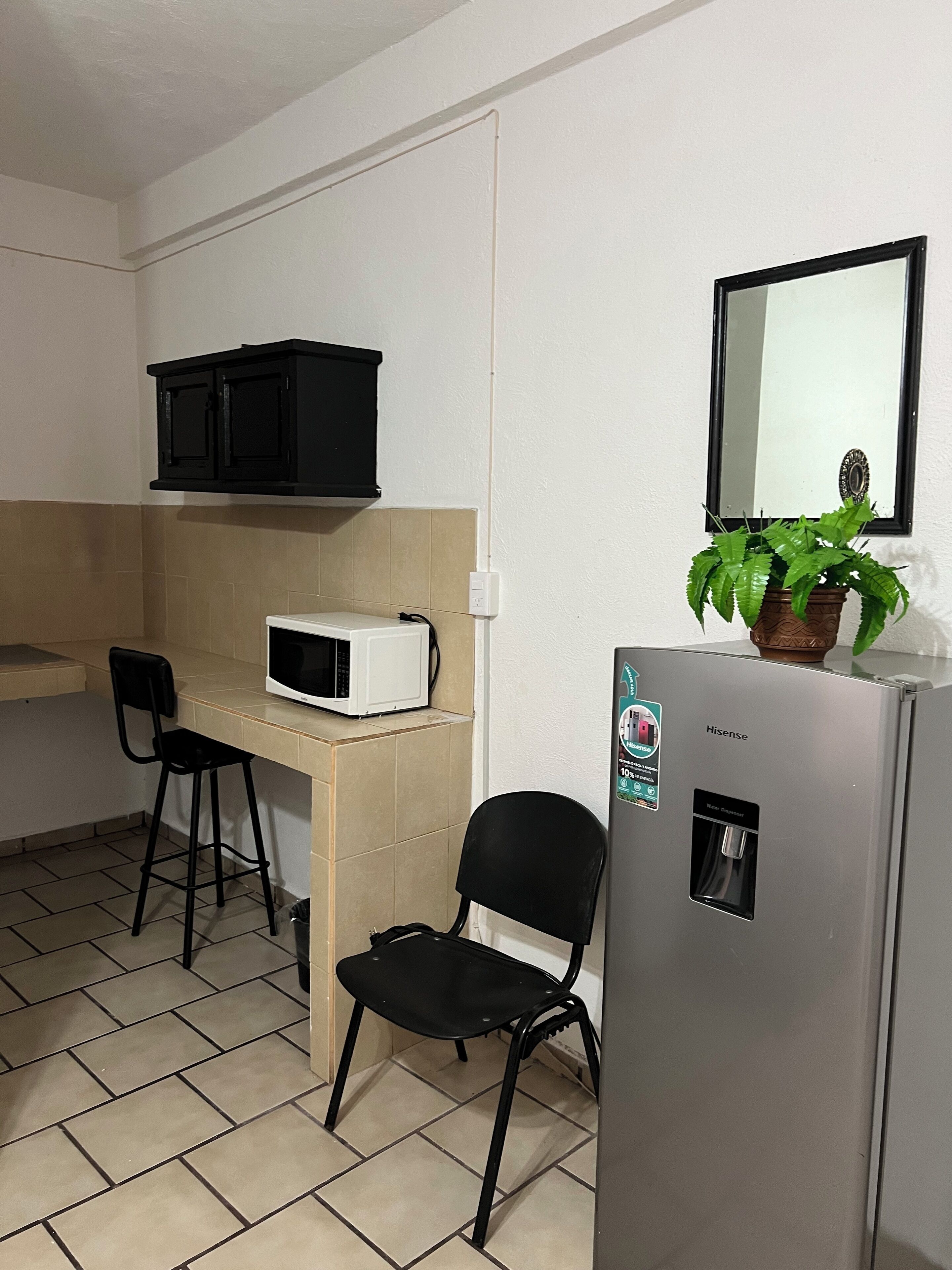 A kitchenette with a microwave, a sink, a refrigerator, and a potted plant.