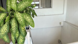A staircase with a potted plant on the left. - Casa Los Angeles  (Colima)