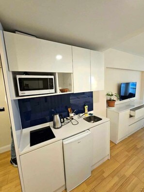 Panoramic Apartment, 1 King Bed, Non Smoking | Hypo-allergenic bedding, down comforters, desk, soundproofing