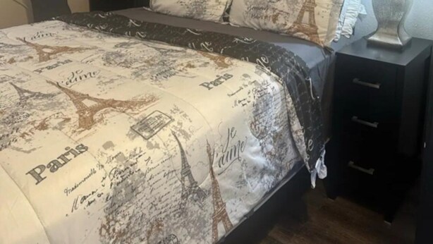 A bedroom with a bed featuring a Paris-themed duvet, a nightstand with a lamp, a small cabinet, and two framed pictures on the wall. - Tiny home for  short and long term also (Sugar Land)