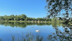 A serene lake with a swan swimming, surrounded by greenery and houses in the background.