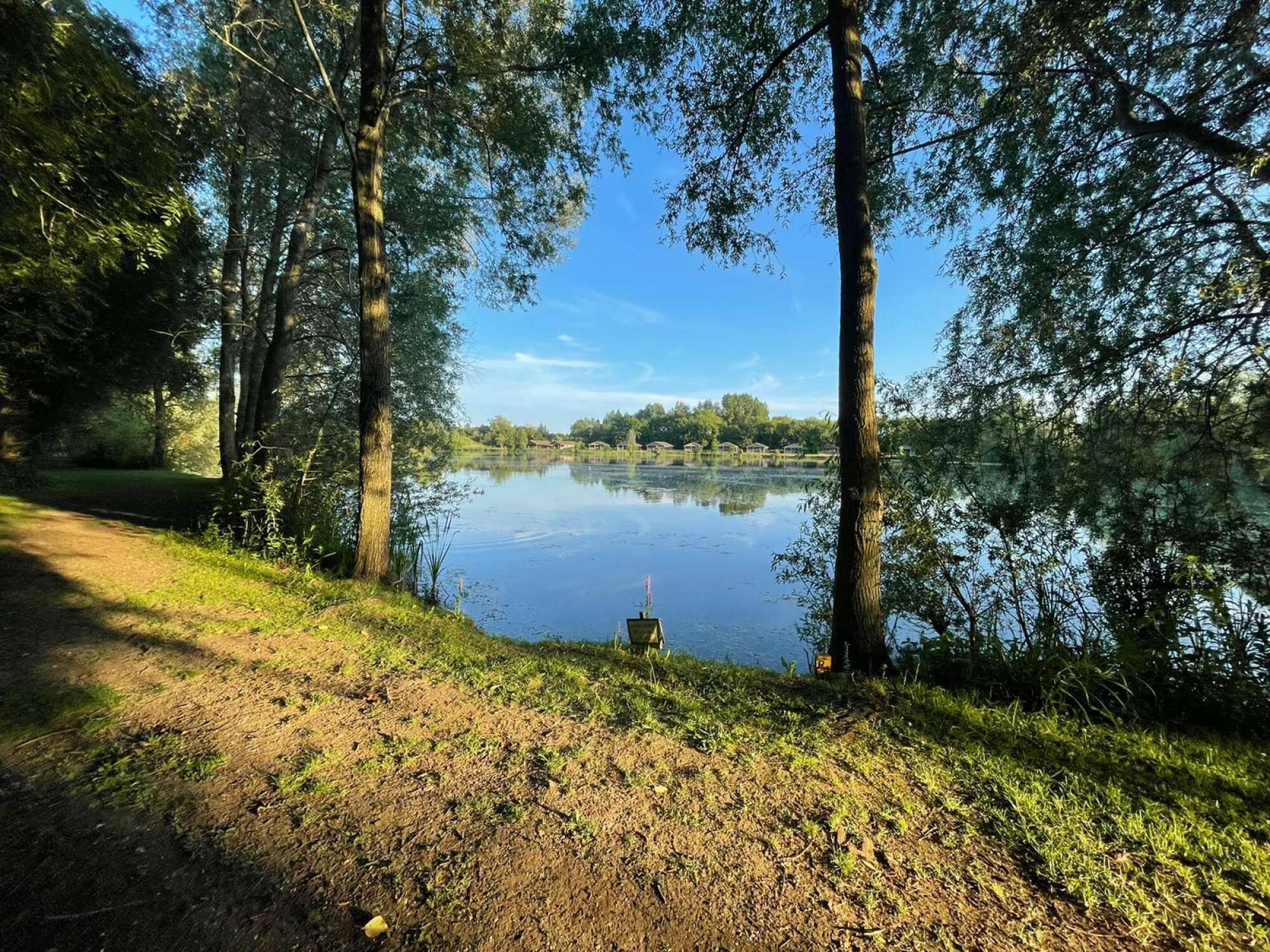 Un sentier paisible qui longe le lac, bordé d’arbres, et d’où l’on a une vue dégagée sur l’eau.