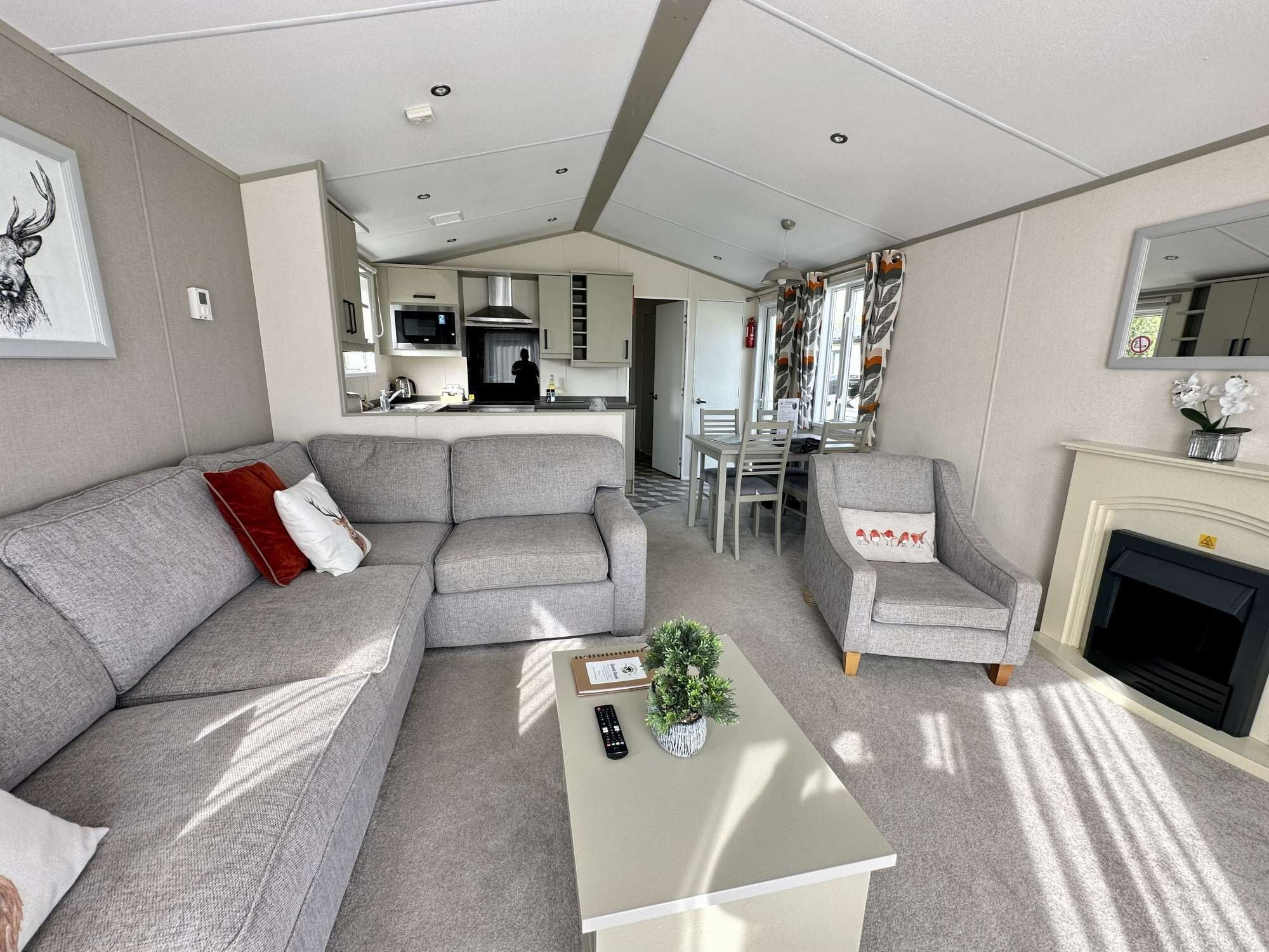 Ein modernes Wohnzimmer mit einem grauen Sofa, einem kleinen Sessel, einem Couchtisch mit Pflanze und Fernbedienung sowie einem Kamin.