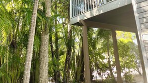 A wooden deck with a railing, surrounded by tall palm trees.