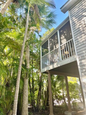 Ćrea da propriedade