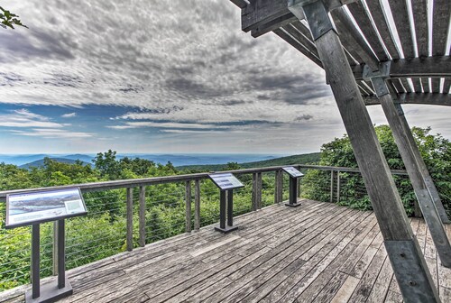 Ski-In/Ski-Out Wintergreen Resort Condo + Hot Tub!