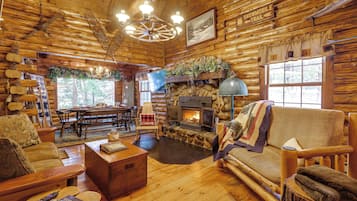 TV, fireplace, books