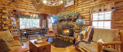 Televisión, chimenea y libros