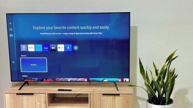 Ein Fernseher auf einem Holz-Fernsehschrank, daneben eine Pflanze.