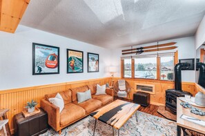 Smart TV, fireplace, books