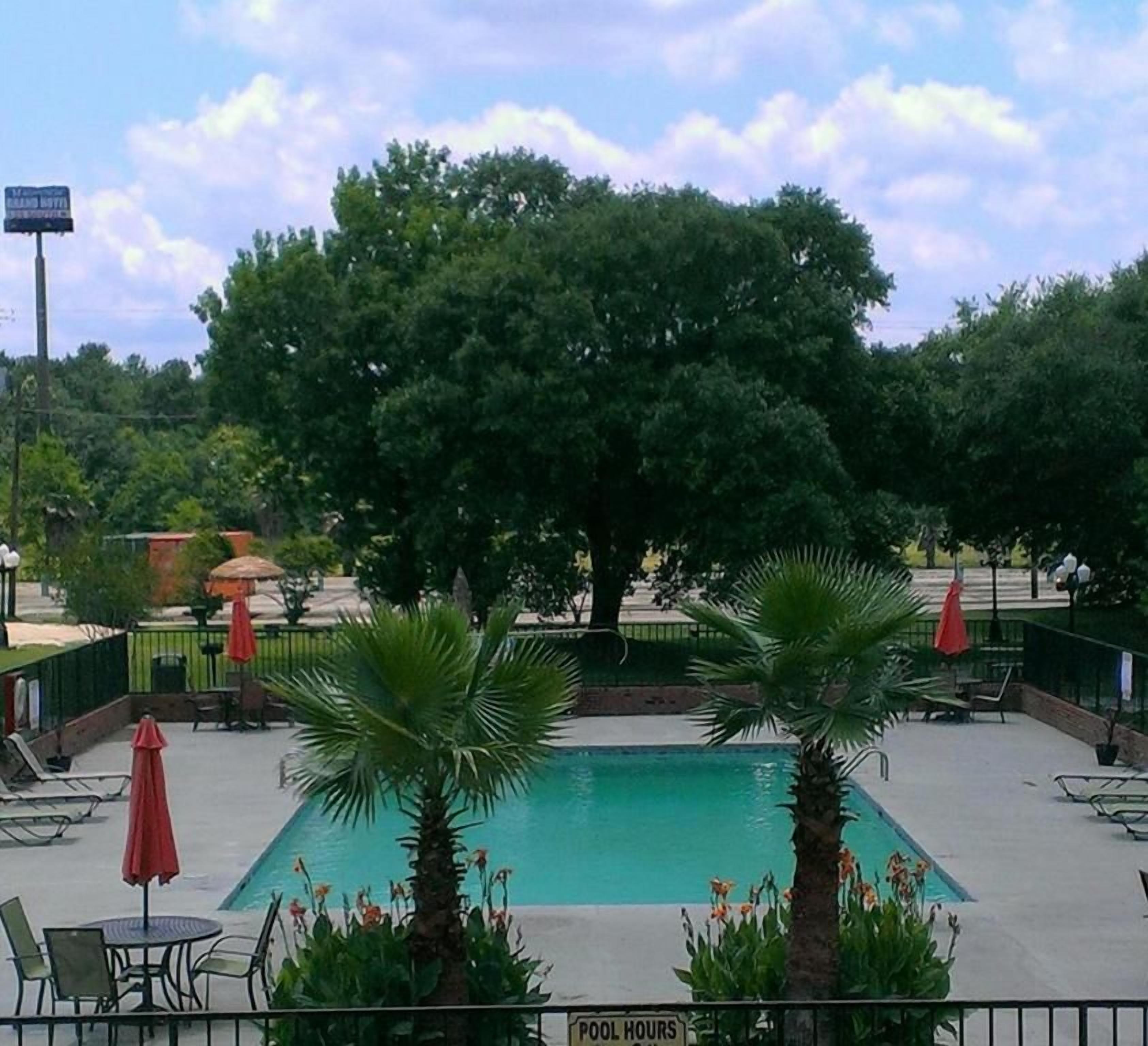 A pool area with lounge chairs and umbrellas, surrounded by trees.