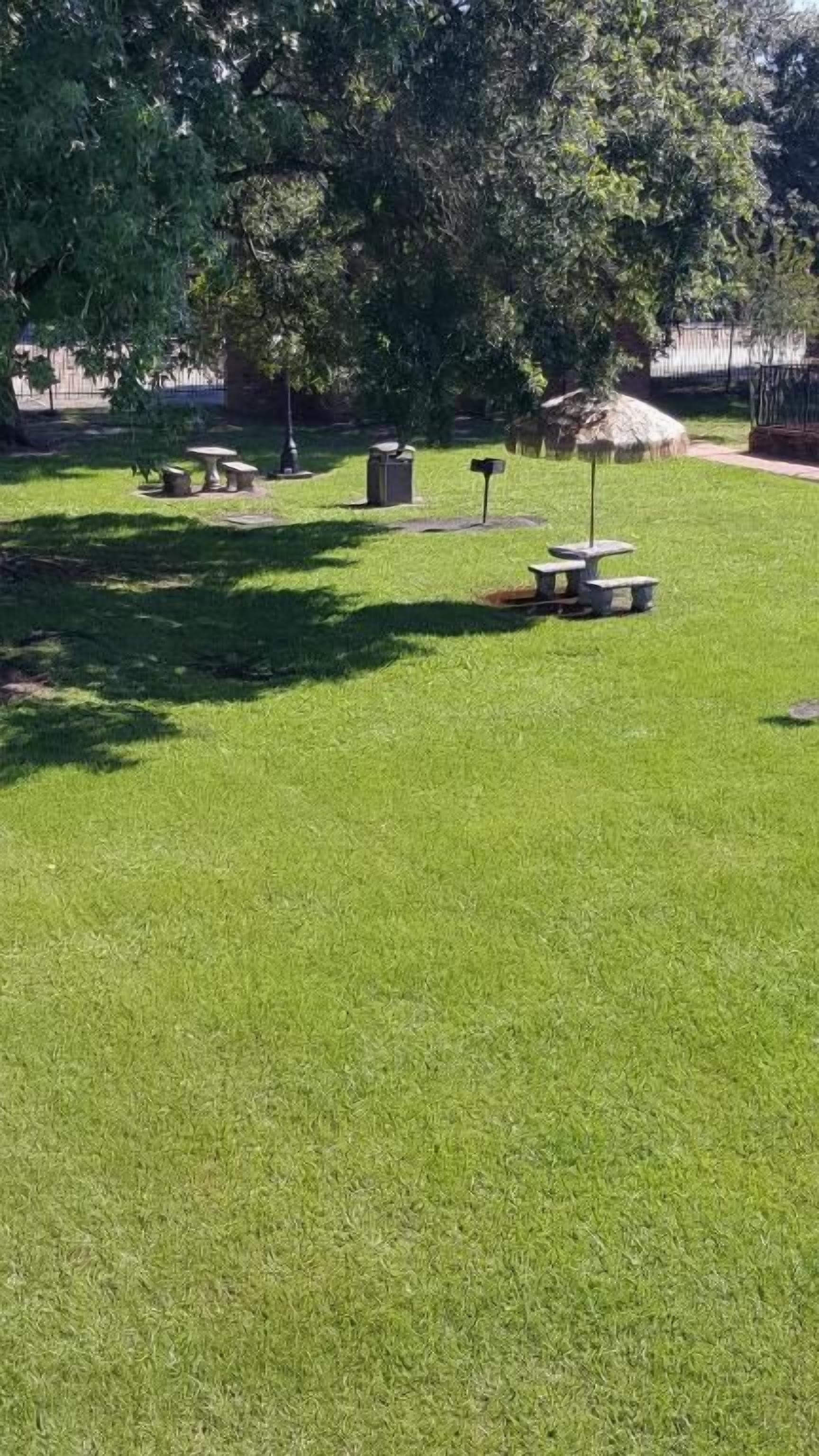 Un espacio verde bien cuidado con mesas de picnic y bancos, rodeado de árboles.