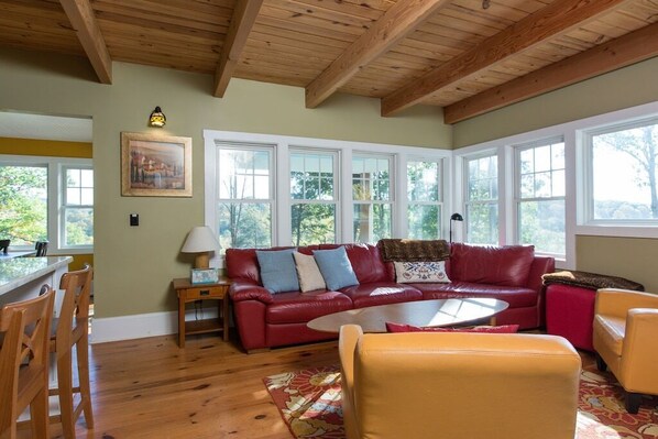 Smart TV, fireplace, DVD player, books