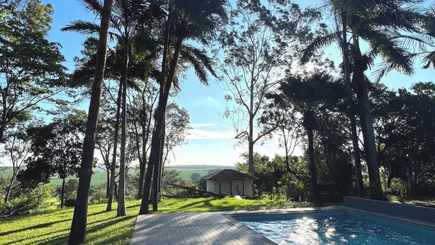 Una piscina rodeada de vegetación exuberante y árboles altos, con un edificio pequeño al fondo.
