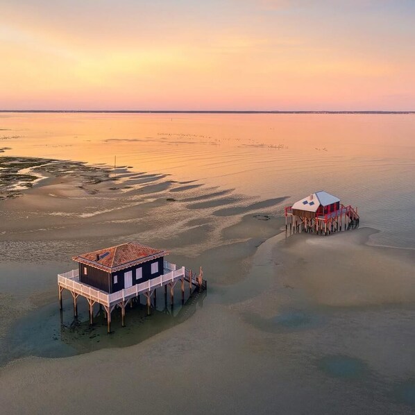 Beach nearby - L'Orée du Lac - LA-TESTE-DE-BUCH (LA-TESTE-DE-BUCH)