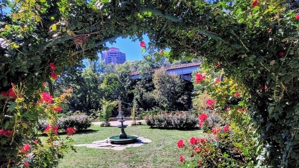 Un jardin agrémenté d’une fontaine, entouré d’une végétation luxuriante et de plantes en fleurs.
