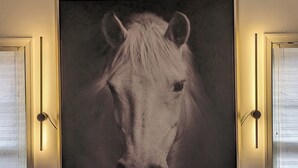 Un grand portrait de cheval encadré est accroché au mur, au-dessus d’un canapé beige agrémenté de coussins à motifs.