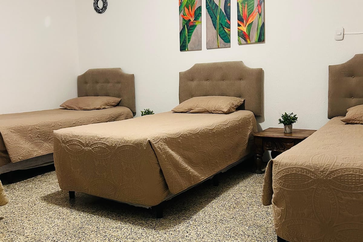 Ein Hotelzimmer mit drei Betten, einer kleinen Topfpflanze und drei Bildern an der Wand.