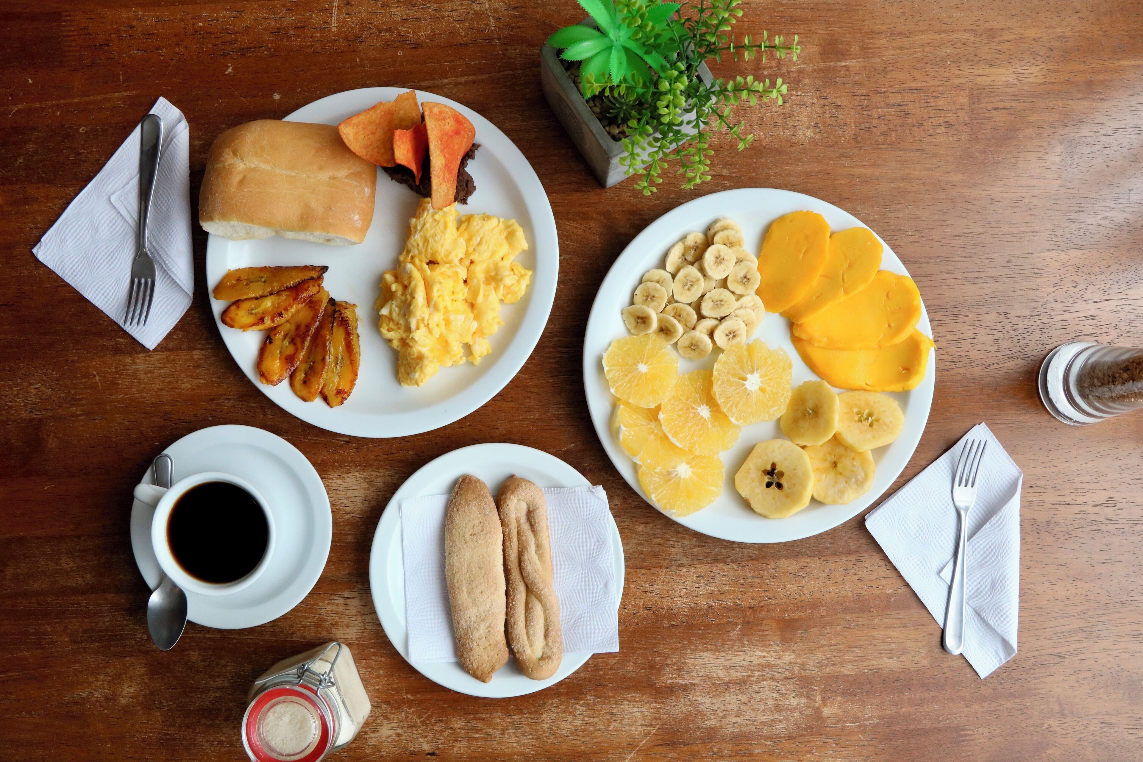 Foto - Hostal Los Volcanes